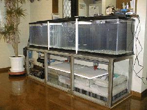 オーバーフロー水槽 集中濾過 マンションタイプ